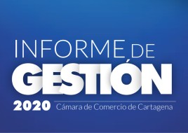 Informe de gestión 2020