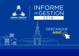 Informe de gestión 2018