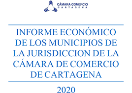 Informe Económico 2020