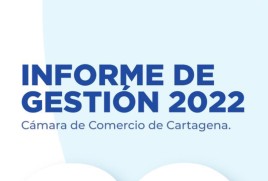 Informe de Gestión 2022